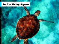 https://game.moais10.com/game/turtle-diving-jigsaw