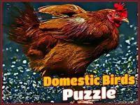 https://game.moais10.com/game/domestic-birds-puzzle