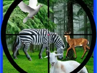 https://game.moais10.com/game/real-jungle-animals-hunting
