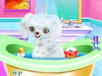 https://game.moais10.com/game/my-new-poodle-friend