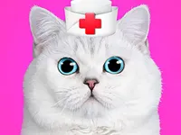 https://game.moais10.com/game/cat-pet-doctor-dentist