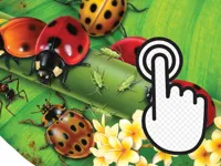 https://game.moais10.com/game/ladybug-clicker