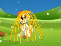 https://game.moais10.com/game/rescue-the-doggy