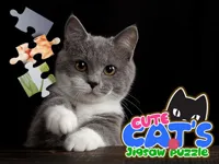 https://game.moais10.com/game/cute-cats-jigsaw-puzzle