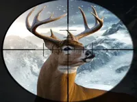 https://game.moais10.com/game/hunter-3d