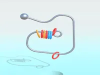 https://game.moais10.com/game/ring-it-off