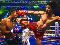 https://game.moais10.com/game/muaythai-fighters-jigsaw