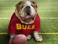 https://game.moais10.com/game/funny-doggy-puzzle