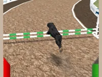 https://game.moais10.com/game/crazy-real-dog-race