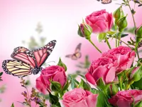 https://game.moais10.com/game/butterflies-puzzle