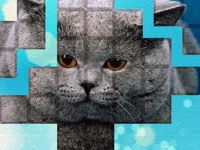 https://game.moais10.com/game/picpu-cat-puzzle