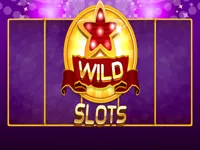 https://game.moais10.com/game/wild-slot