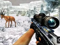 https://game.moais10.com/game/sniper-hunting-jungle-2022