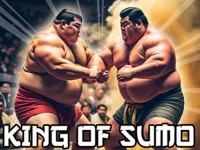 https://game.moais10.com/game/king-of-sumo