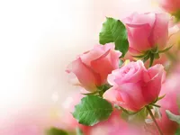 https://game.moais10.com/game/pink-roses-puzzle