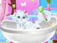 https://game.moais10.com/game/excellent-pet-groomer