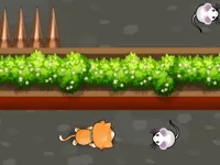 https://game.moais10.com/game/cat-trap-labyrinth-escape