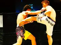 https://game.moais10.com/game/ufc-fighting-match-jigsaw