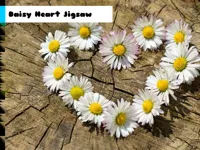 https://game.moais10.com/game/daisy-heart-jigsaw