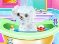 https://game.moais10.com/game/my-new-poodle-friend-pet-care-game
