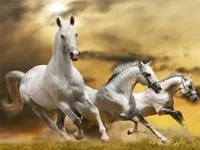 https://game.moais10.com/game/running-horse-slide