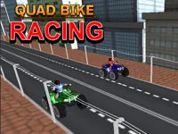 https://game.moais10.com/game/quad-bike-racing