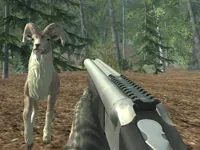 https://game.moais10.com/game/crazy-goat-hunter