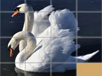 https://game.moais10.com/game/animals-slide-puzzle