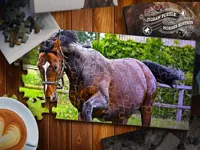https://game.moais10.com/game/jigsaw-puzzle-horses-edition