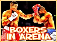https://game.moais10.com/game/boxers-in-arena