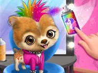 https://game.moais10.com/game/rock-star-animal-hair-salon
