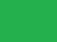 https://game.moais10.com/game/green-clicker-game