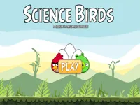https://game.moais10.com/game/science-birds