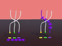 https://game.moais10.com/game/twisted-rods