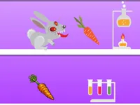 https://game.moais10.com/game/rabid-rabbit