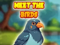 https://game.moais10.com/game/meet-the-birds