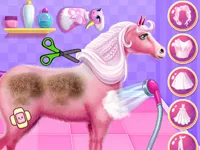 https://game.moais10.com/game/princess-horse-caring