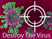 https://game.moais10.com/game/destroy-the-corona-virus