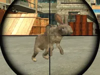 https://game.moais10.com/game/rabbit-shooter