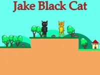 https://game.moais10.com/game/jake-black-cat