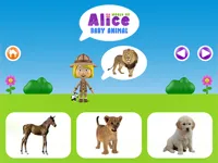 https://game.moais10.com/game/world-of-alice-baby-animal