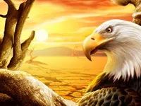 https://game.moais10.com/game/eagle-slide