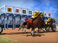https://game.moais10.com/game/bet-horse-racing