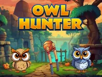 https://game.moais10.com/game/owl-hunter