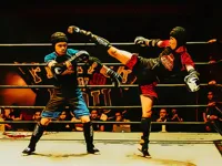 https://game.moais10.com/game/fighters-in-the-ring