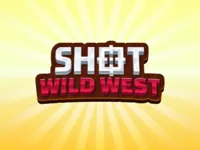 https://game.moais10.com/game/shotwildwest