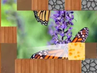 https://game.moais10.com/game/wash-if-off