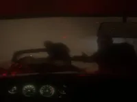 https://game.moais10.com/game/spooky-jungle-safari