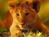 https://game.moais10.com/game/wild-baby-animals-jigsaw
