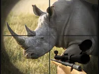 https://game.moais10.com/game/rhino-hunter-shooting-strike